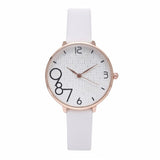 Fashion Casual Wrist Watch